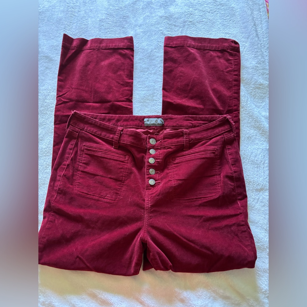Torrid Deep Red Pants